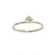 Small is Exquisite | Diamond Ring