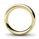 Cosmic Lion [5] Men's Wedding Ring | 18K Yellow Gold